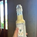 한경면 청수물마을 | 제주 한경면 분위기 맛집 청수미방 시저샐러드 수제 소스