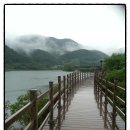 금평농장 이미지