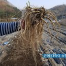 새싹슈퍼 이미지