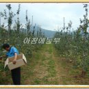 장수사과 - 목포시 하당로 189 | 장수사과