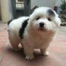 할머니집 이미지