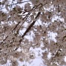 보미문구사 - 4478 | 보미문구사