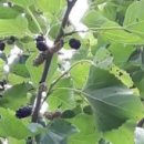 유니콘농장 이미지