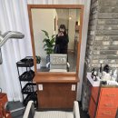 아스콧헤어 이미지