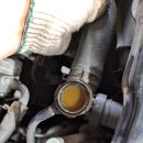 오토오아시스 메가마트 천안점 이미지