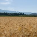 영스테이 이미지