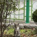 용산-이태-4 이미지