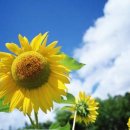 오늘은 선물 이미지