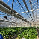 승진농장 이미지