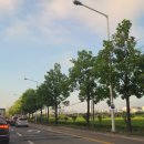 서부산업도로 이미지