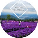 지리산유랑 | 거창 아스타국화축제/ 감악산 별데크 무장애나눔길 / 거창 별바람언덕/9월가볼만한곳/