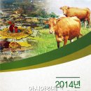 행정용 7 이미지