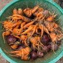 연세농장 이미지