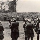 삼마목장 이미지