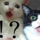 센세이션스튜디오