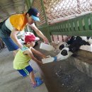 태현목장 이미지