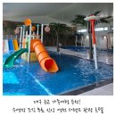 미즈랜드 | 대구 근교 가족여행 추천! 실내 수영장 무료에 조식까지 포함된 신상 영천 더랜드 관광 호텔