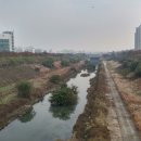 잠실파크리오아파트앞 이미지