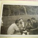 돈형