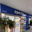 오늘봄안경 | 파주운정안경 오늘의안경 아빠 돋보기 안경 맞춰드린 후기