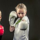 아이스타복싱클럽 이미지