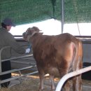 우리축사 이미지