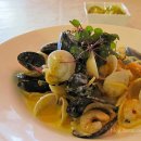 파코메리 이미지