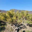 반송농장 이미지