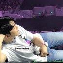 유종의미