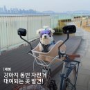 서동공원1(20027) | 강아지 자전거 바구니 꿀팁, 배곧 한울공원 산책하기 딱