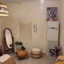 순복이네 스핑크스 이미지