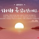디에스성형외과 이미지