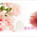 다솜화원 - 중랑구 봉우재로14길 25 | 다솜화원