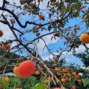 동청도농업협동조합 이미지