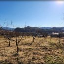 용등농장 이미지