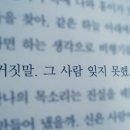 련 이미지