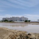 월곶역광장 이미지