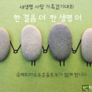 작년에 이어 올해에도 진행된 새생명 사랑의 가족걷기대회! 이미지