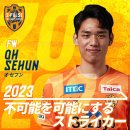 시미즈2
