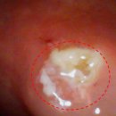 명내과의원 이미지