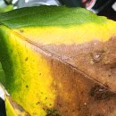 처음보다 더 이미지