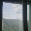 다산27통(에일린의뜰) | 속시원한 남양주 다산 아파트 유리창 청소 에일린의뜰 아파트