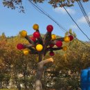 용추관광안내소 | [11월 주왕산 초보트레킹코스 추천] 무조건 가봐야할 기암절벽 가을 단풍 명소