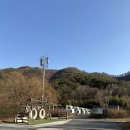 함평자연생태글램핑앤오토캠핑장지점 | 전남 글램핑장/함평 글램핑&amp;카라반 :: 함평 자연생태 글램핑앤 오토캠핑장