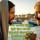 2026-08-13연중 제19주간 목요일＜내가 너에게 말한다. 일곱 번이 아니라 일흔일곱 번까지라도 용서해야 한다.＞ 이미지