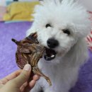 쏘니스낵