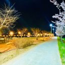 김천실내테니스장 & 김천오토캠핑장 이미지