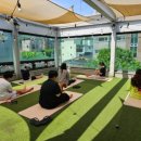 웰컴댕댕 이미지