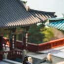 복천사 - 영도구 | 복천사