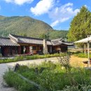 정선5일장 아리랑골목(시장1) 이미지